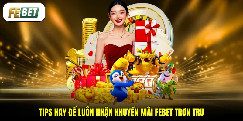 Tips hay để luôn nhận khuyến mãi FEBET trơn tru