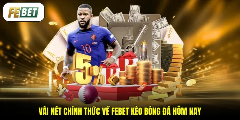 Vài nét chính thức về FEBET kèo bóng đá hôm nay
